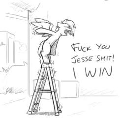 Size: 3000x3000 | Tagged: safe, artist:captainhoers, derpibooru import, oc, unofficial characters only, pegasus, pony, bipedal, dialogue, grayscale, high res, image, jpeg, ladder, moments before disaster, monochrome, offscreen character, open mouth, sketch, solo, this will end in pain, vulgar, wobbling