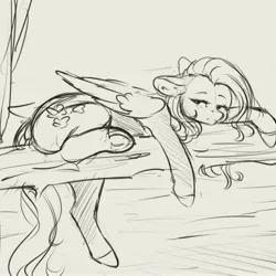 Size: 4000x4000 | Tagged: safe, artist:miokomata, derpibooru import, fluttershy, pegasus, pony, absurd resolution, behaving like a cat, female, freckles, freckleshy, grayscale, image, jpeg, mare, monochrome, solo, tree branch, underhoof