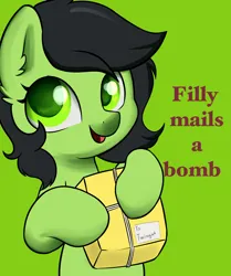 Size: 2730x3258 | Tagged: safe, artist:dumbwoofer, derpibooru import, oc, oc:anonfilly, earth pony, pony, bomb, ear fluff, female, filly, image, implied violence, looking at you, mail, open mouth, package, png, simple background, smiling, smiling at you, solo, string, text, weapon