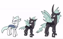 Size: 640x397 | Tagged: safe, artist:kokorokinda, derpibooru import, oc, unnamed oc, unofficial characters only, changedling, changeling, age progression, changedling oc, changeling oc, female, image, jpeg, reddit, simple background, solo, white background