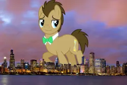 Size: 2048x1365 | Tagged: safe, derpibooru import, doctor whooves, time turner, earth pony, pony, background pony, bowtie, chicago, city, giant pony, giant/macro earth pony, highrise ponies, illinois, image, irl, jpeg, looking at you, macro, male, mega giant, photo, ponies in real life, smiling, solo, stallion