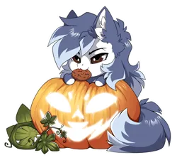 Size: 1500x1351 | Tagged: safe, alternate version, artist:arctic-fox, derpibooru import, part of a set, oc, unofficial characters only, earth pony, pony, alternate character, commission, image, mouth hold, png, pumpkin, solo, ych result