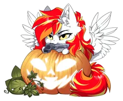 Size: 1500x1239 | Tagged: safe, alternate version, artist:arctic-fox, derpibooru import, part of a set, oc, unofficial characters only, pegasus, pony, alternate character, commission, image, mouth hold, png, pumpkin, solo, ych result