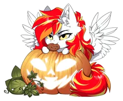 Size: 1500x1239 | Tagged: safe, alternate version, artist:arctic-fox, derpibooru import, part of a set, oc, unofficial characters only, pegasus, pony, alternate character, commission, image, mouth hold, png, pumpkin, solo, ych result
