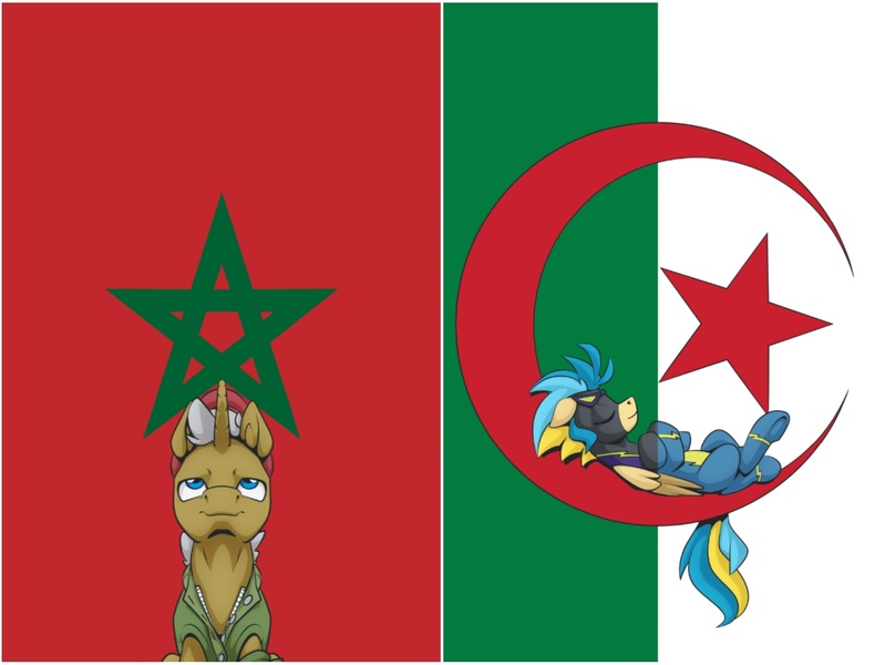 Size: 1992x1496 | Tagged: safe, artist:mysticalpha, derpibooru import, edit, oc, oc:brassjack, oc:sunstream, unofficial characters only, pegasus, unicorn, algeria, clothes, flag, image, jpeg, morocco, uniform, wonderbolts, wonderbolts uniform