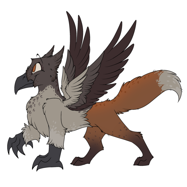 Size: 2100x2100 | Tagged: safe, artist:molars, derpibooru import, oc, oc:keepers, unofficial characters only, bird, fox, gryphon, magpie, character design, claws, corvid, fox tail, image, orange eyes, orange fur, png, reference sheet, simple background, solo, spread wings, tail, talons, transparent background, wings