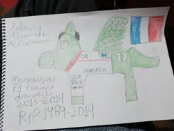 Size: 4000x3000 | Tagged: safe, derpibooru import, screencap, ponified, pegasus, pony, book, drawing, flag, formula 1, france, french, french flag, image, jpeg, jules bianchi, memorial, pencil drawing, photo, smiling, solo, traditional art