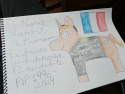 Size: 4000x3000 | Tagged: safe, derpibooru import, screencap, ponified, pony, unicorn, anthoine hubert, clothes, formula 1, formula 2, france, french, french flag, image, jpeg, memorial, pencil drawing, photo, shirt, smiling, solo, traditional art