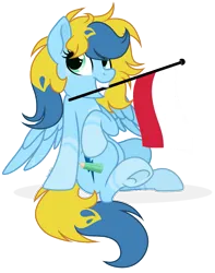Size: 793x1007 | Tagged: safe, artist:brush-prism, derpibooru import, oc, oc:brush prism, unofficial characters only, pegasus, flag, image, mouth hold, png, poland, polish flag, polish national independence day, solo