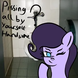 Size: 5000x5000 | Tagged: safe, artist:houndy, derpibooru import, oc, oc:jester quinn, bathroom, image, looking at you, meme, one eye closed, png, shitposting, smug, text, wink, winking at you