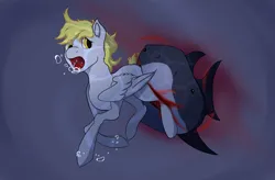 Size: 3344x2200 | Tagged: semi-grimdark, artist:dvfrots, derpibooru import, derpy hooves, pegasus, pony, shark, air bubble, biting, blood, bubble, commission, crying, female, image, ocean, png, ponytail, ponytails, simple background, sinking, solo, swimming, vore, water