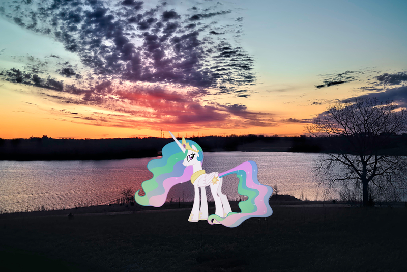 Size: 2048x1367 | Tagged: safe, artist:90sigma, derpibooru import, princess celestia, alicorn, pony, butt, crown, female, hoof shoes, image, irl, jewelry, jpeg, mare, nebraska, omaha, peytral, photo, plot, ponies in real life, regalia, sunbutt