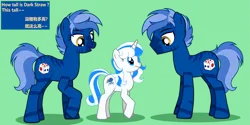 Size: 6219x3120 | Tagged: safe, alternate version, artist:equestria secret guard, derpibooru import, oc, oc:dark straw, oc:white rose, unofficial characters only, hybrid, zony, chinese text, derpibooru exclusive, image, moon runes, png, vector, zony oc