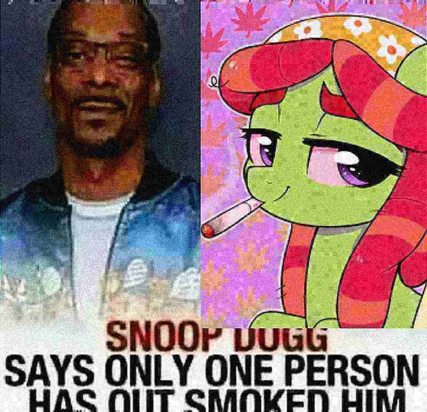 Size: 800x772 | Tagged: safe, artist:moozua, derpibooru import, edit, tree hugger, earth pony, human, pony, drugs, image, irl, irl human, marijuana, meme, photo, png, snoop dogg