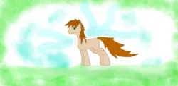 Size: 1223x599 | Tagged: safe, artist:samuel-neocros, derpibooru import, oc, oc:sam, unofficial characters only, earth pony, pony, abstract background, earth pony oc, image, jpeg, male, solo, stallion