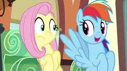 Size: 1920x1080 | Tagged: safe, derpibooru import, screencap, fluttershy, rainbow dash, pegasus, pony, buckball season, season 6, 1080p, cute, dashabetes, duo, duo female, female, image, looking at each other, looking at someone, mare, png