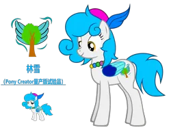 Size: 5056x3845 | Tagged: safe, artist:equestria secret guard, derpibooru import, oc, oc:lin xue, unofficial characters only, pegasus, pony, pony creator, chinese text, female, image, mare, moon runes, pegasus oc, png, simple background, solo, transparent background, vector, wings