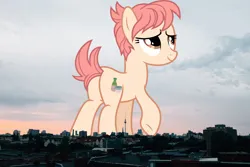 Size: 2048x1365 | Tagged: safe, artist:jaredking779, artist:luckreza8, derpibooru import, raspberry vinaigrette, earth pony, pony, background pony, berlin, butt, female, germany, giant pony, giant/macro earth pony, giantess, highrise ponies, image, irl, macro, mare, mega giant, photo, plot, png, ponies in real life, smiling, solo