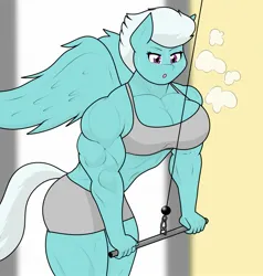 Size: 1946x2048 | Tagged: safe, artist:matchstickman, derpibooru import, fleetfoot, anthro, pegasus, pony, biceps, breasts, busty fleetfoot, clothes, deltoids, exercise, female, fleetflex, gym uniform, image, jpeg, mare, muscles, muscular female, pecs, solo, sweat, sweatdrop, thighs, thunder thighs, triceps