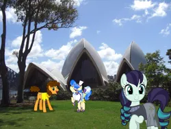 Size: 1024x768 | Tagged: safe, artist:90sigma, artist:dashiesparkle, derpibooru import, cheese sandwich, coloratura, sapphire shores, earth pony, pony, australia, clothes, female, image, irl, jpeg, male, mare, photo, ponies in real life, see-through, stallion, story included, sydney, sydney opera house, trio