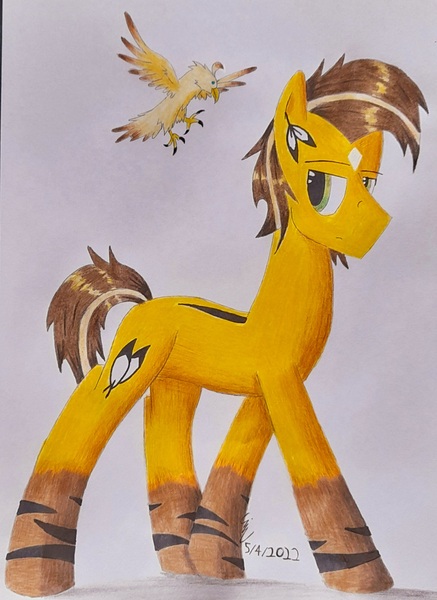 Size: 1630x2240 | Tagged: safe, artist:thecrimsonspark, derpibooru import, oc, oc:desert sun, bird, eagle, earth pony, brown mane, image, jpeg, reference, reference sheet, solo