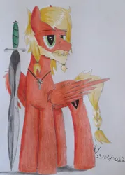 Size: 1690x2366 | Tagged: safe, artist:thecrimsonspark, derpibooru import, oc, oc:alburke fallstorm, pegasus, pony, beard, blonde hair, facial hair, image, jpeg, male, pegasus oc, reference, reference sheet, solo, stallion, sword, weapon, wings