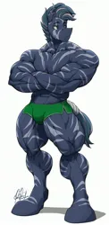 Size: 1361x2800 | Tagged: safe, artist:ponyanony, derpibooru import, oc, unofficial characters only, anthro, pony, unguligrade anthro, zebra, abs, biceps, bodybuilder, clothes, crossed arms, deltoids, image, jpeg, male, muscles, nudity, overdeveloped muscles, partial nudity, pecs, shorts, stallion, thighs, thunder thighs, topless, triceps, zebra oc