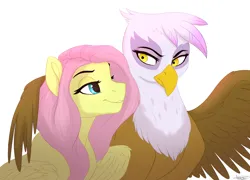 Size: 2500x1800 | Tagged: safe, artist:scorpion-89, derpibooru import, fluttershy, gilda, gryphon, pegasus, pony, covering, female, gildashy, image, jpeg, lesbian, looking at each other, mare, shipping, simple background, smiling, spread wings, white background, wing covering, wings