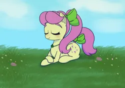 Size: 2048x1444 | Tagged: safe, derpibooru import, posey, posey (g5), earth pony, pony, my little pony: a new generation, my little pony: tell your tale, cute, eyes closed, female, g5, grass, grass field, image, jpeg, lying down, mare, relaxing, ribbon, sleeping, sleepy, smiling, solo, wind