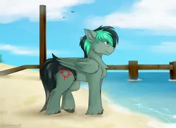 Size: 3400x2470 | Tagged: safe, artist:snowstormbat, derpibooru import, oc, oc:target strike, pegasus, pony, beach, clothes, image, male, ocean, png, sand, solo, speedo, stallion, swimsuit, water