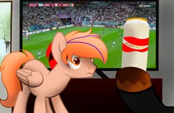 Size: 3952x2560 | Tagged: safe, artist:fededash, derpibooru import, oc, oc:fededash, oc:paul, unofficial characters only, pegasus, alcohol, argentina, beer, football, glass, house, image, male, mexico, pegasus oc, png, sports, television, tree, window, wings