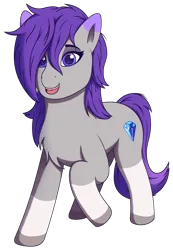 Size: 2008x2901 | Tagged: safe, artist:autumnsfur, derpibooru import, oc, oc:glitter stone, unofficial characters only, earth pony, pony, derpibooru community collaboration, 2023 community collab, blue eyes, cutie mark, diamond, female, full body, g4, g5, hair over one eye, image, long mane, looking at you, mare, multicolored tail, open mouth, png, purple eyes, purple hair, purple mane, purple tail, raised hoof, simple background, smiling, smiling at you, solo, tail, transparent background