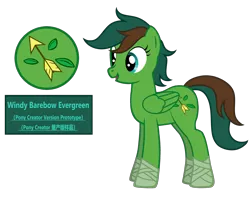 Size: 4720x3740 | Tagged: safe, artist:equestria secret guard, derpibooru import, oc, oc:windy barebow evergreen, unofficial characters only, pegasus, pony, pony creator, chinese text, female, image, mare, moon runes, pegasus oc, png, show accurate, simple background, solo, transparent background, vector, wings