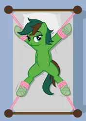 Size: 1536x2166 | Tagged: safe, artist:equestria secret guard, derpibooru import, oc, oc:windy barebow evergreen, unofficial characters only, pegasus, pony, armpits, bed, bedroom eyes, belly button, bondage, featureless crotch, female, helpless, image, jpeg, looking at you, lying down, mare, on bed, pegasus oc, rope, rope bondage, sexy, show accurate, simple background, solo, spread eagle, spread legs, spreading, tied to bed, tied up, wings