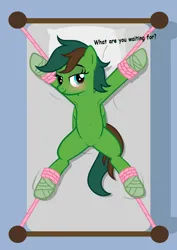 Size: 1536x2166 | Tagged: safe, artist:equestria secret guard, derpibooru import, oc, oc:windy barebow evergreen, unofficial characters only, pegasus, pony, armpits, bed, bedroom eyes, belly button, blushing, bondage, featureless crotch, female, helpless, image, jpeg, looking at you, lying down, mare, on bed, pegasus oc, rope, rope bondage, sexy, show accurate, simple background, solo, spread eagle, spread legs, spreading, tied to bed, tied up, wings