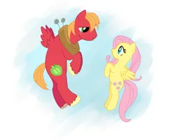 Size: 889x712 | Tagged: safe, artist:tex, derpibooru import, edit, big macintosh, fluttershy, pegasus, pony, cropped, female, fluttermac, flying, image, looking at each other, looking at someone, male, mare, pegasus big macintosh, png, race swap, shipping, smiling, smiling at each other, stallion, straight