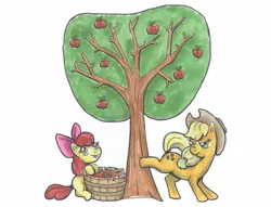 Size: 1280x979 | Tagged: safe, artist:zladdsmith, derpibooru import, apple bloom, applejack, pony, apple, apple tree, applebucking, female, filly, foal, food, image, jpeg, mare, simple background, tongue out, traditional art, tree, white background
