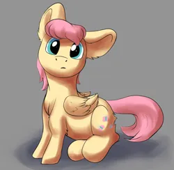 Size: 2100x2050 | Tagged: safe, artist:shaliwolf, derpibooru import, fluttershy, pegasus, pony, alternate hairstyle, ear fluff, elbow fluff, female, folded wings, gray background, head tilt, head turned, high res, image, looking at you, mare, png, simple background, sitting, solo, wings