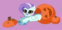 Size: 4096x2000 | Tagged: safe, artist:kittyrosie, derpibooru import, oc, oc:ocean breeze, oc:ocean breeze (savygriffs), classical hippogriff, hippogriff, blushing, commission, high res, image, jpeg, kittyrosie is trying to murder us, pumpkin, ych result