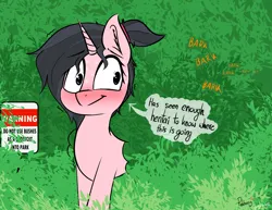 Size: 2602x2007 | Tagged: suggestive, artist:pinkberry, derpibooru import, oc, oc:mae (pinkberry), unofficial characters only, pony, unicorn, bush, i've seen enough hentai to know where this is going, image, imminent bestiality, imminent rape, imminent sex, mae be a zooslut, png, solo, stuck, trapped