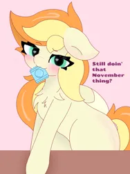 Size: 1080x1440 | Tagged: suggestive, artist:sodapop sprays, derpibooru import, oc, oc:sodapop sprays, unofficial characters only, pegasus, pony, blushing, chest fluff, condom, condom in mouth, dialogue, eye clipping through hair, female, floppy ears, image, looking at you, mouth hold, no nut november, pink background, png, simple background, solo, solo female, sultry pose