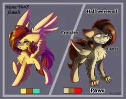 Size: 2400x1900 | Tagged: safe, artist:yuris, derpibooru import, oc, oc:yuris, unofficial characters only, pegasus, pony, werewolf, ears, fangs, female, folded wings, grin, image, paws, png, red eyes, reference, simple background, smiling, solo, solo female, spread wings, wings