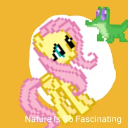 Size: 1024x1024 | Tagged: safe, derpibooru import, fluttershy, gummy, pegasus, pony, derpibooru, exploitable meme, image, meme, meta, nature is so fascinating, obligatory pony, pet, png, spoilered image joke, королева кошек