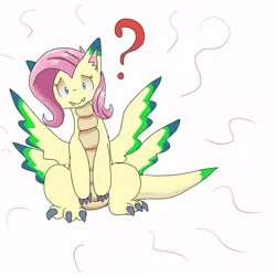Size: 1000x1000 | Tagged: safe, artist:kushina13, derpibooru import, fluttershy, dragon, cute, cute little fangs, dragonified, fangs, female, image, jpeg, question mark, simple background, solo, species swap, white background
