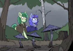 Size: 1754x1240 | Tagged: safe, artist:paskanaakka, derpibooru import, oc, oc:bittergreen, oc:midnight dew, unofficial characters only, earth pony, pony, unicorn, cloak, clothes, derpibooru exclusive, ear fluff, female, forest, image, mare, mushroom, png, story included, tree, tree stump
