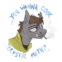 Size: 800x800 | Tagged: safe, artist:molars, derpibooru import, oc, ponified, pegasus, pony, blue eyes, breaking bad, bust, clothes, drugs, hoodie, image, jesse pinkman, meth, png, portrait, simple background, smoke, smoking, solo, text, transparent background