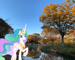 Size: 2047x1638 | Tagged: safe, artist:jaredking779, artist:parclytaxel, derpibooru import, princess celestia, alicorn, pony, autumn, crown, female, hoof shoes, image, irl, japan, jewelry, jpeg, looking at you, mare, peytral, photo, ponies in real life, regalia, smiling, solo, tokyo