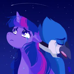 Size: 1500x1500 | Tagged: safe, artist:puccadraws, derpibooru import, twilight sparkle, bird, pony, unicorn, crossover, crossover shipping, crying, eyes closed, female, frown, image, jpeg, looking up, male, meme, mordecai, mordetwi, night, night sky, regular show, shipping, shooting star, sky, straight