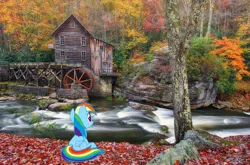 Size: 1600x1054 | Tagged: safe, artist:greenmachine987, derpibooru import, rainbow dash, pegasus, pony, fayette, female, image, irl, jpeg, mare, photo, ponies in real life, river, sitting, solo, water, west virginia