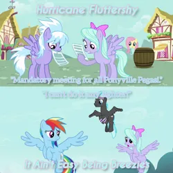 Size: 3072x3072 | Tagged: safe, derpibooru import, edit, edited screencap, editor:itsmgh1203, screencap, cloudchaser, flitter, fluttershy, rainbow dash, pegasus, pony, hurricane fluttershy, it ain't easy being breezies, season 2, season 4, :o, female, flying, image, jpeg, male, mare, mouth hold, open mouth, spread wings, stallion, text, wings